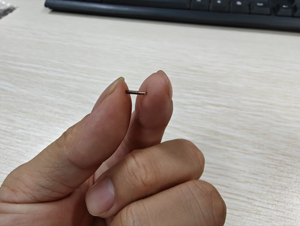 曼谷将推进犬猫植入RFID芯片管理，相关规定为2027年全面实施铺路（images 2）